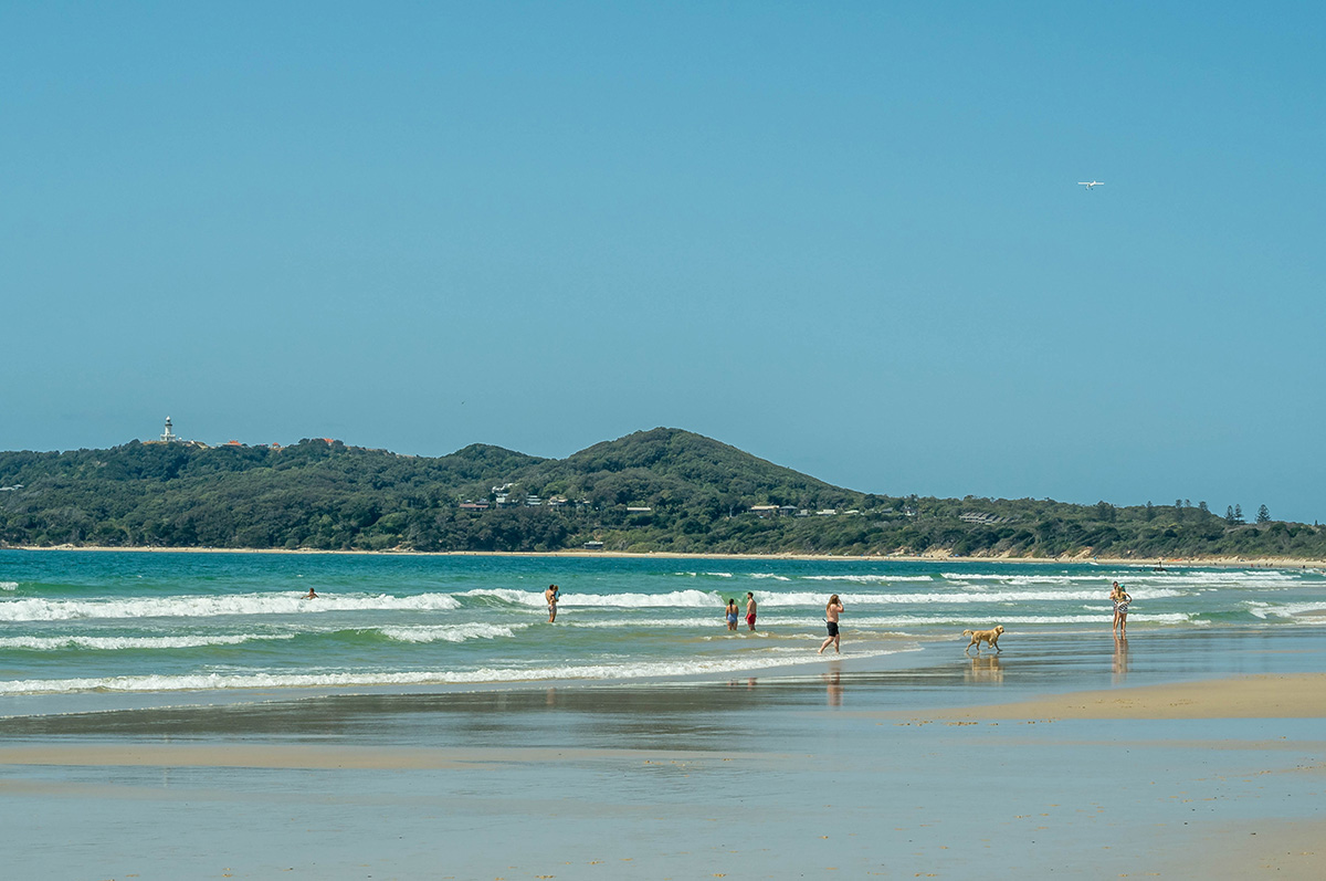 Byron Bay Pet Friendly The Official Guide