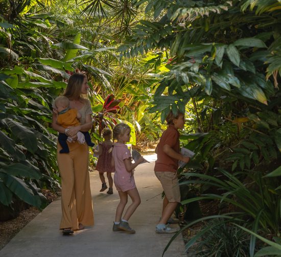 The Official ByronBay.com Guide
