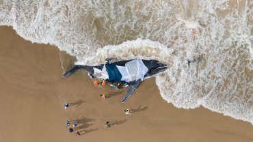 The Official ByronBay.com Guide