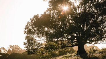 The Official ByronBay.com Guide