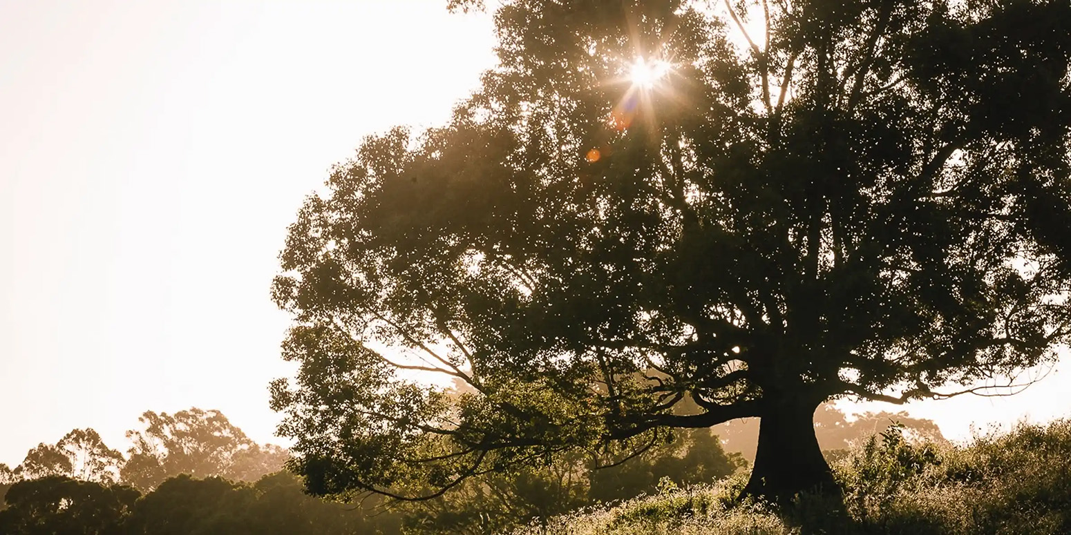 The Official ByronBay.com Guide